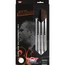 3er Set Steeldarts Bulls Dirk van Duijvenbode 24 g