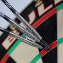3er Set Steeldarts Bulls Smoke Silver Ash