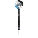 3er Set Steeldarts Bulls Mario Vandenbogaerde 90% E2