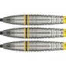 3er Set Steeldarts Target Scott Williams Shaggy G2 SP
